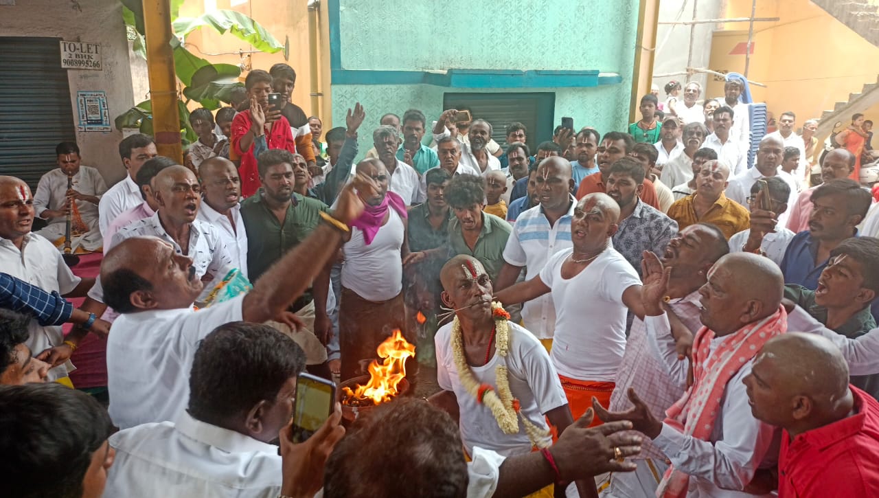 Festival Celebration